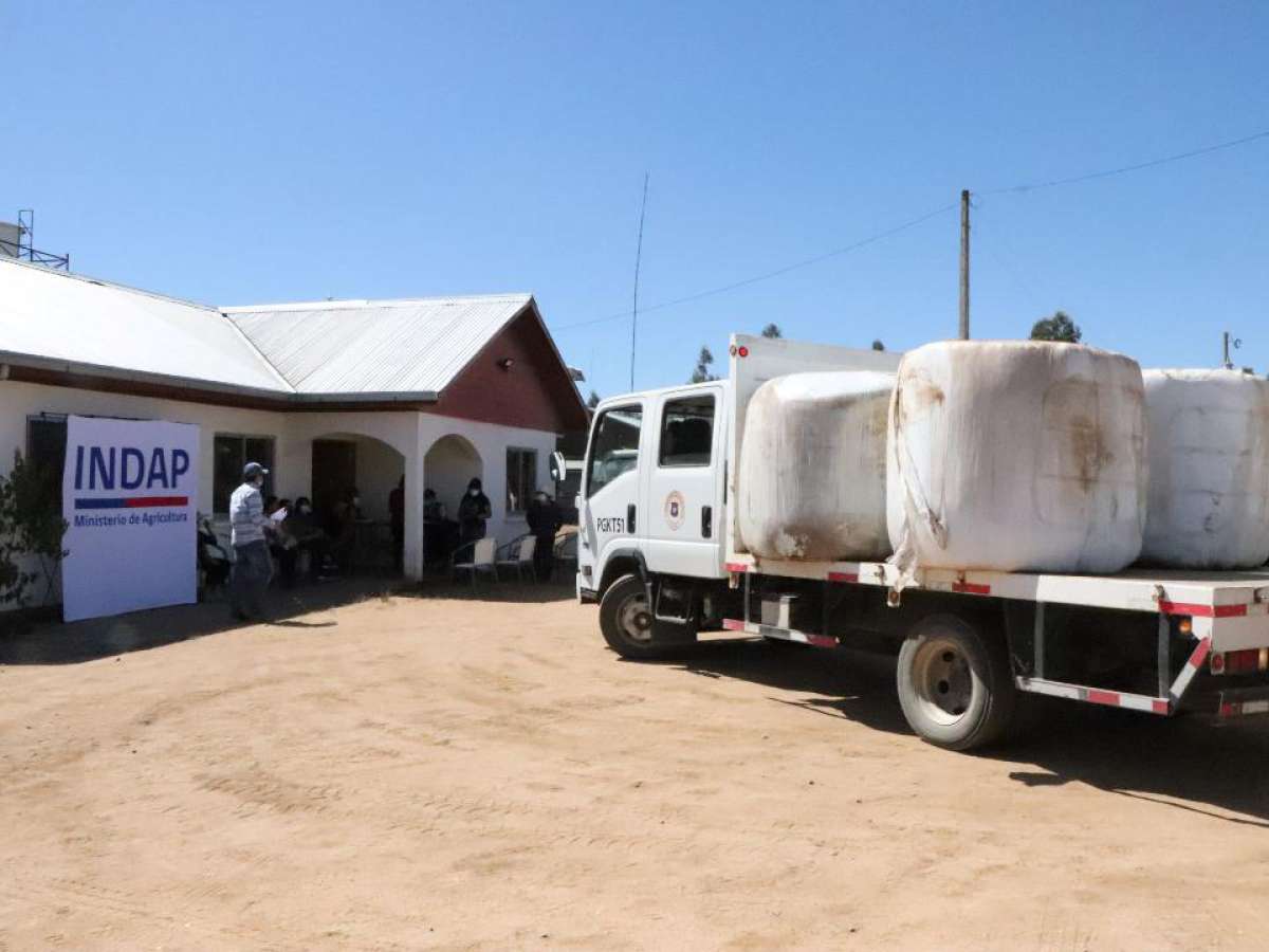 70 por ciento de usuarios Indap catastrados ya recibieron alimentos para animales por emergencia agrícola 