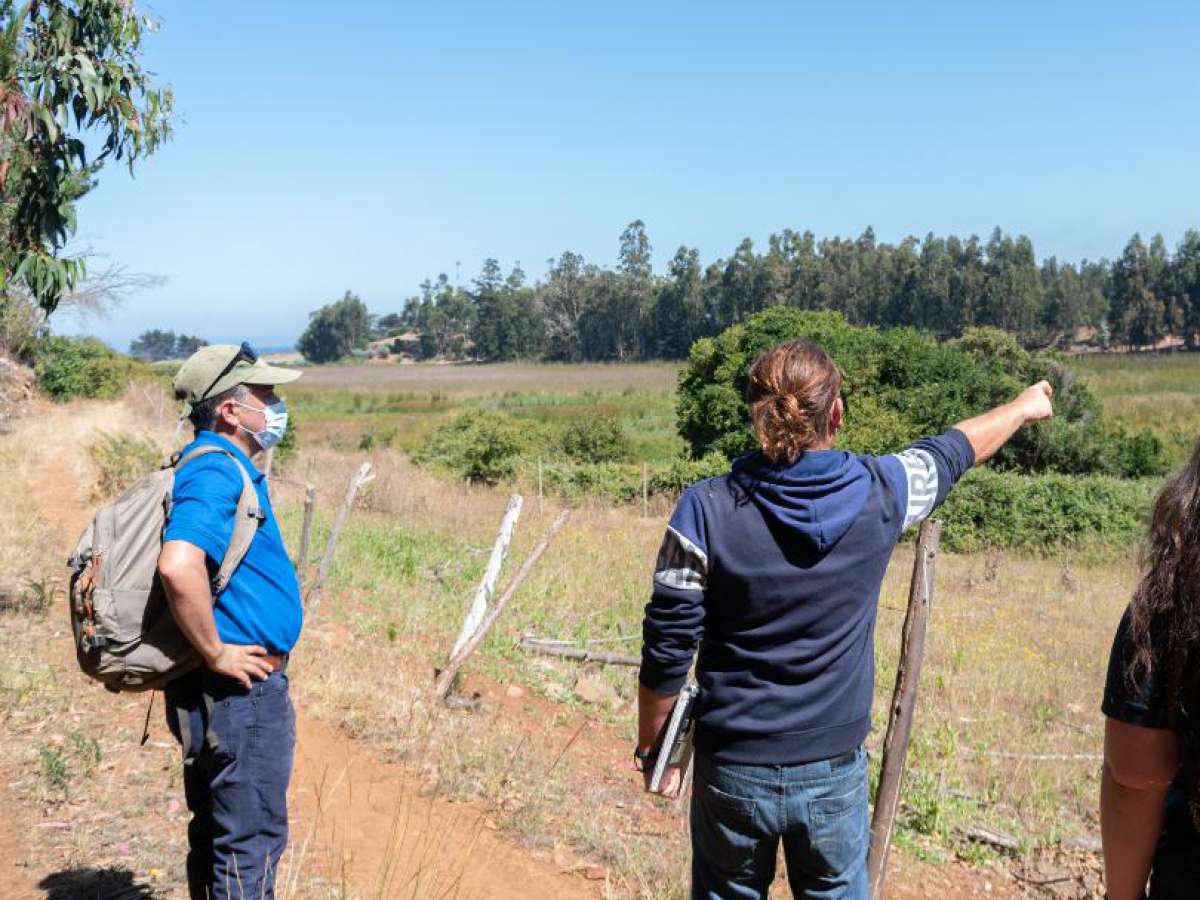 El jueves 23 de diciembre finaliza plazo para entrega de antecedentes complementarios del Humedal Río Colmuyao de Cobquecura