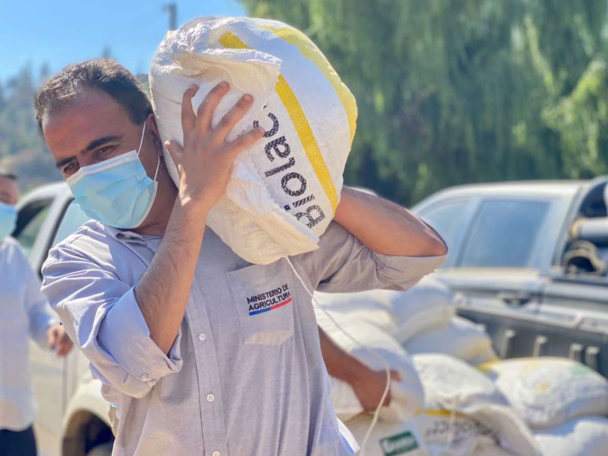 Comenzó entrega de los primeros 5 mil kilos de alimentos para animales de familias afectadas por los incendios en Quillón