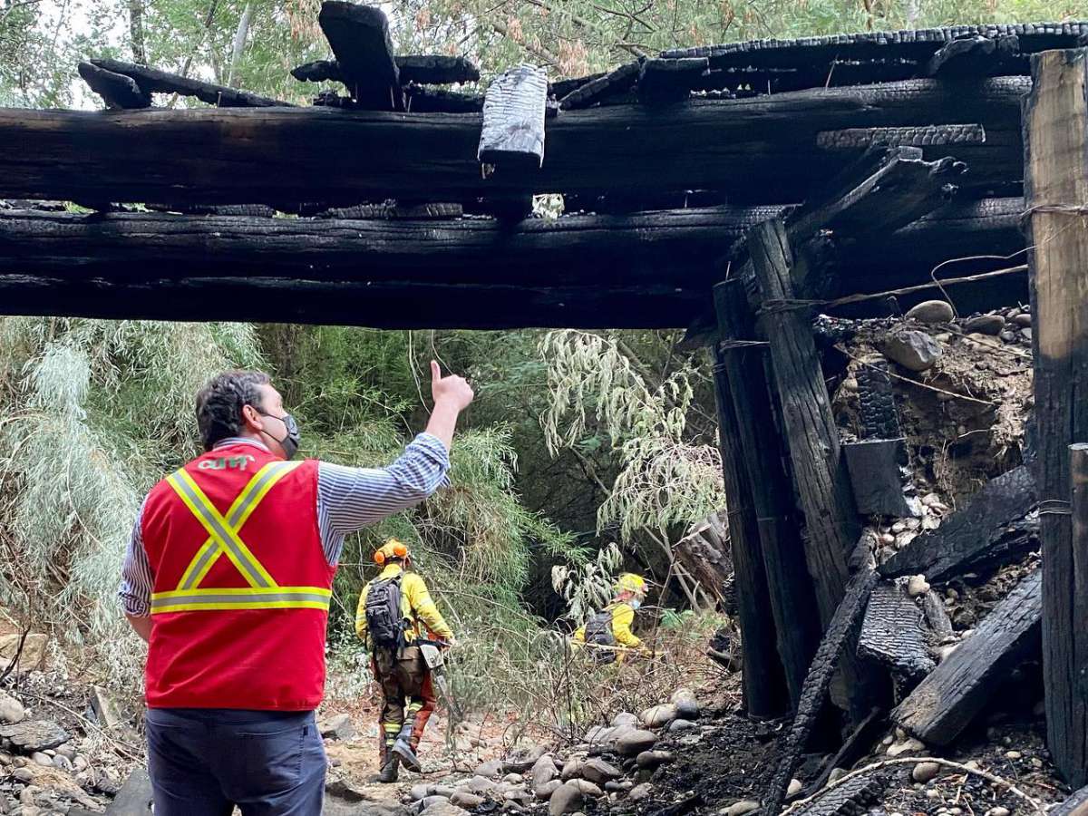 Incendio forestal en Quillón se encuentra controlado y esta semana comenzarán a llegar las ayudas de emergencia a familias afectadas por el fuego