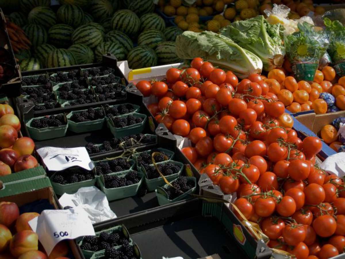 Buscan crear un sistema de capacitación para venta y entrega de productos agropecuarios