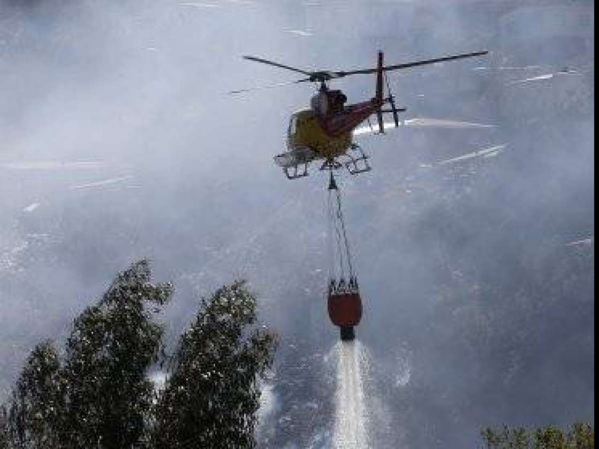 Internado en centro de salud mental queda imputado por incendio forestal en San Ignacio