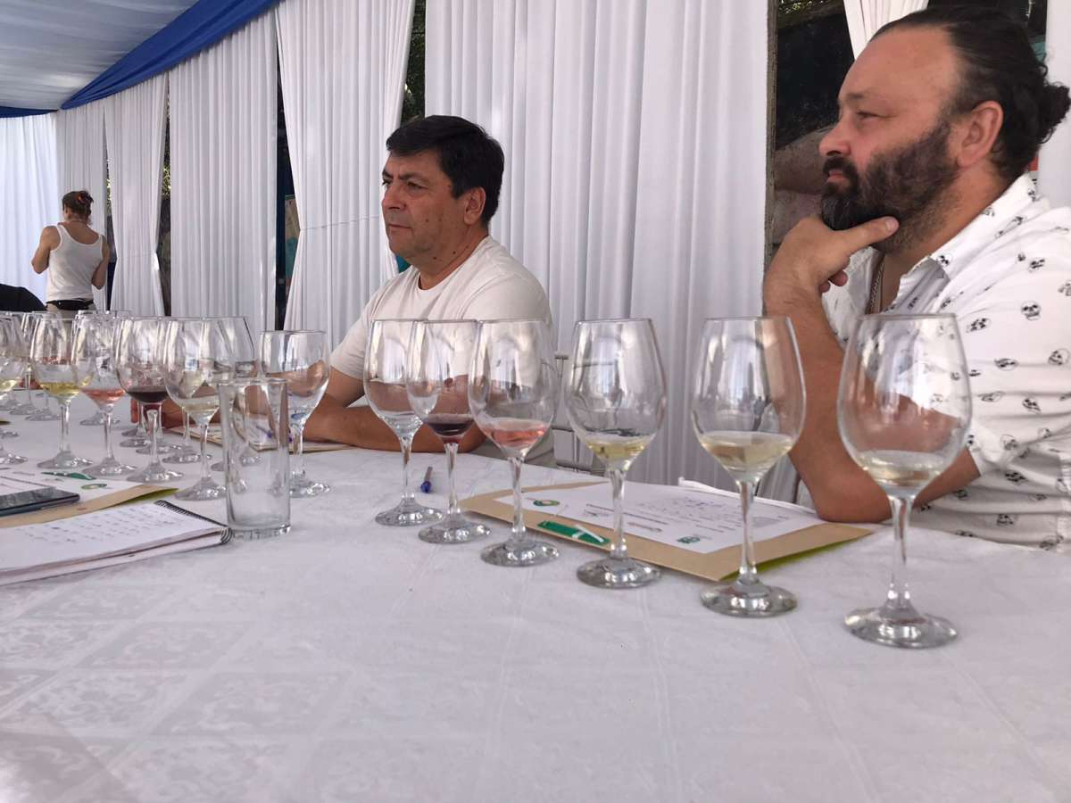 PRIMER CONCURSO DEL VINO Y ESPIRITUOSOS CORONÓ A LOS MEJORES MOSTOS DEL VALLE DEL SOL 