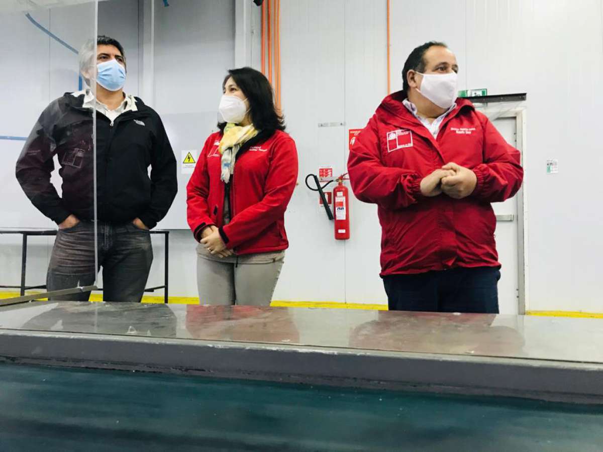 IFE Laboral se acerca a las 20 mil entregas en Ñuble en cuatro meses 