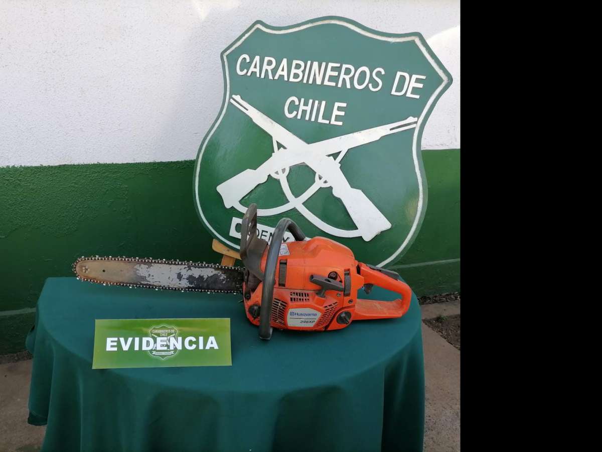 Carabineros detuvo en Coihueco a tres personas que sustrajeron una motosierra desde un predio particular