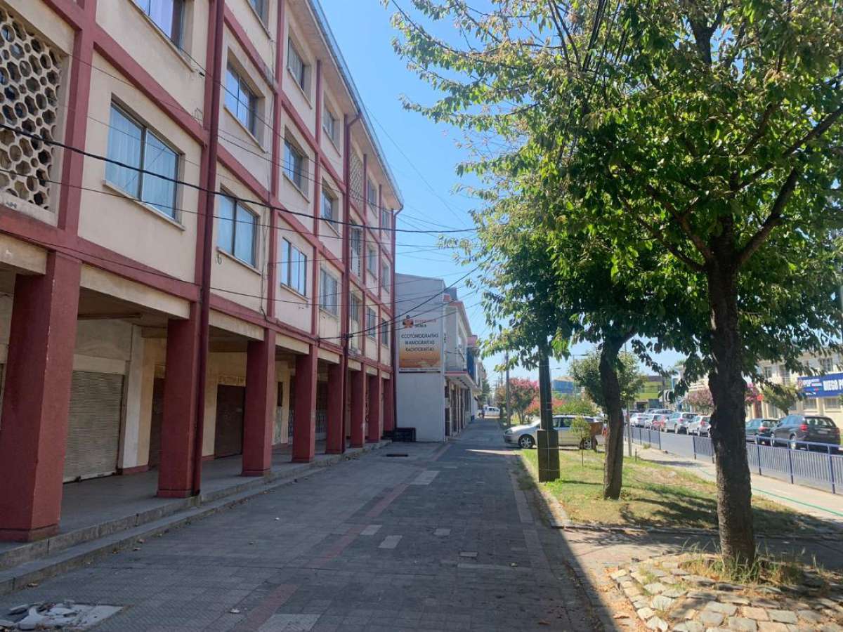 Seremi de Culturas y autoridades entregaron tríptico informativo de Zona Típica y Pintoresca a comunidad de Av. Libertad