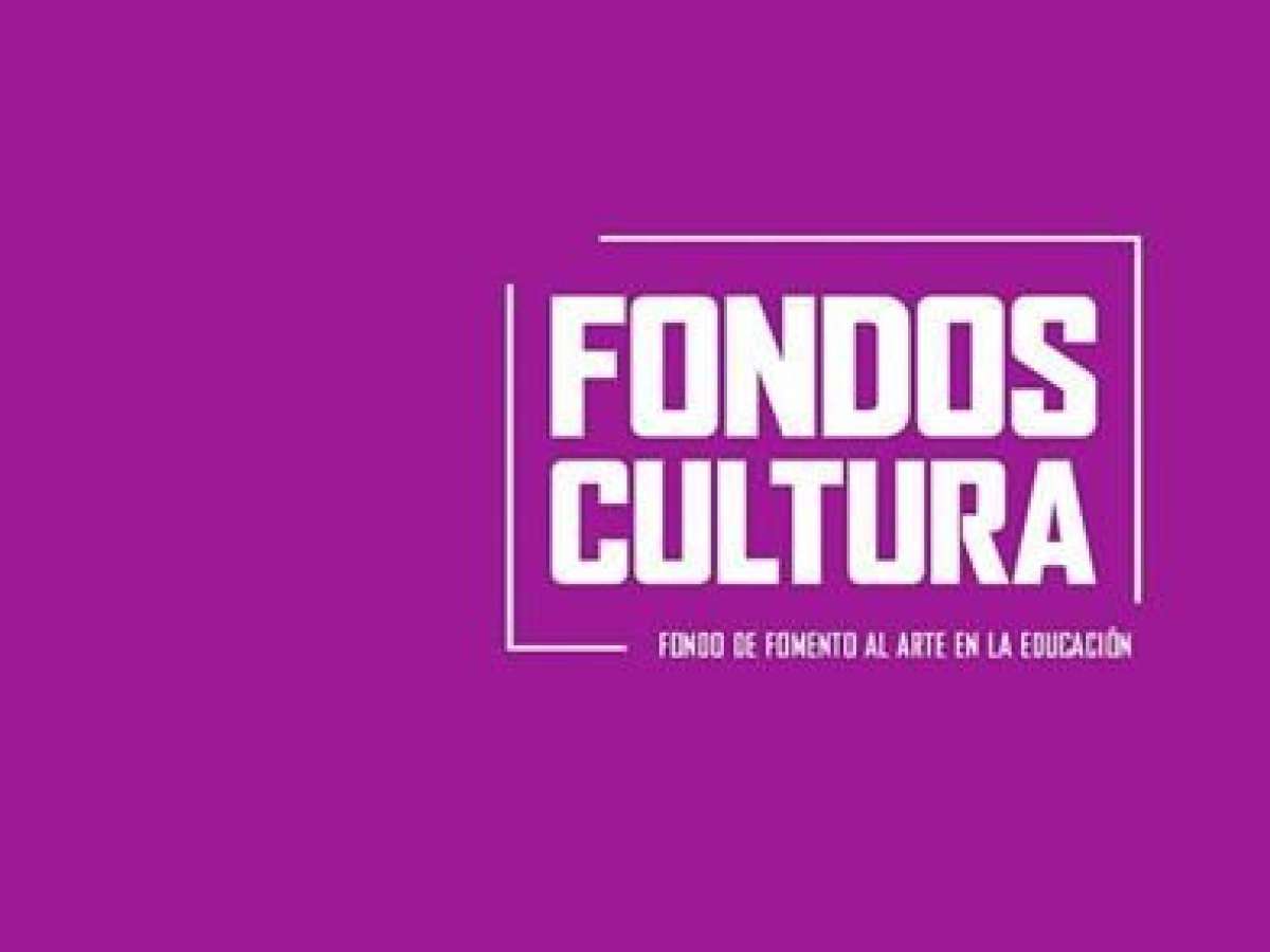 Dos proyectos de Ñuble son seleccionados en el Fondo de Fomento al Arte en la Educación (FAE) del Ministerio de las Culturas