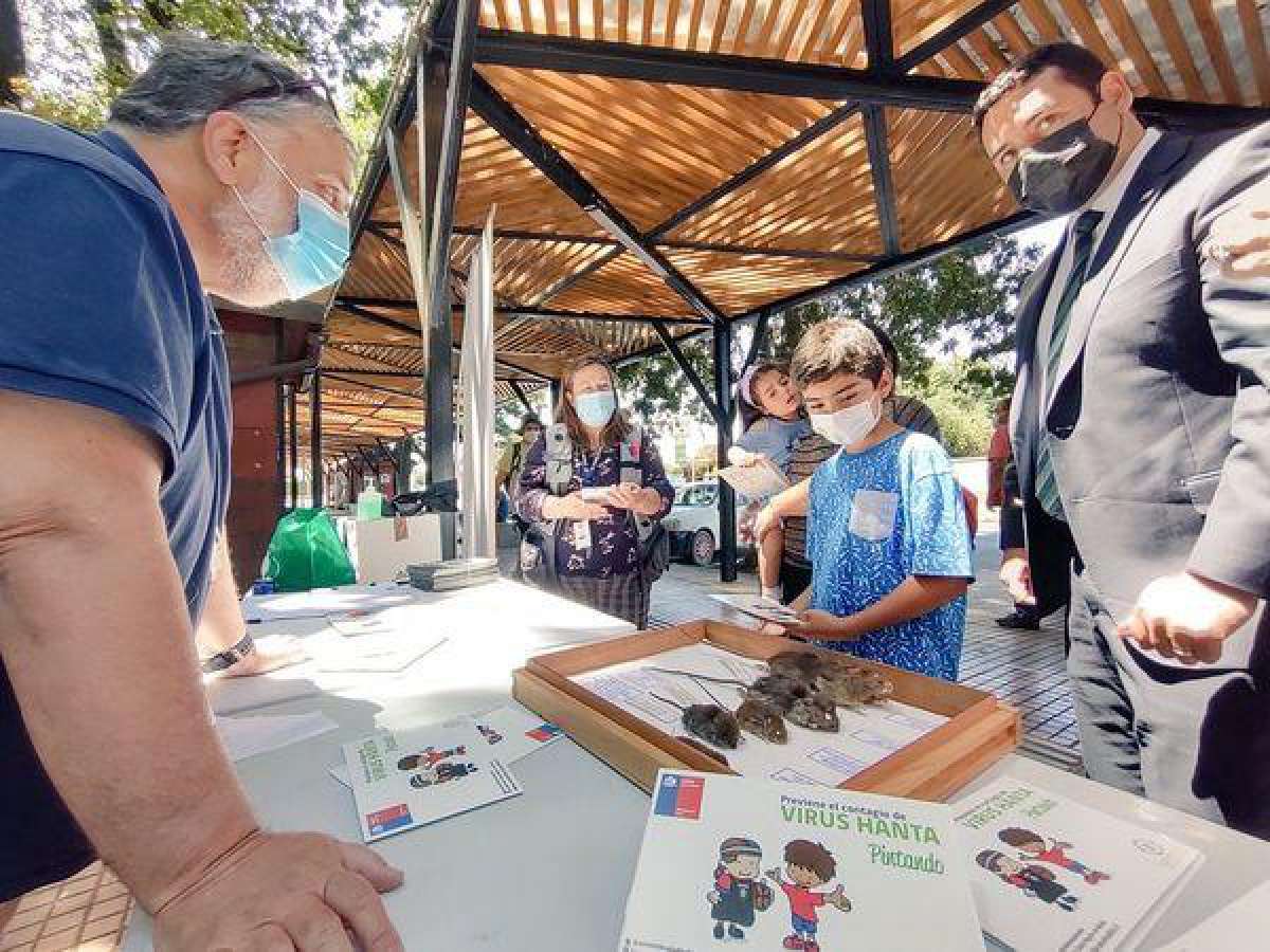 Seremi de Salud confirma fallecimiento por Hanta en Ñuble