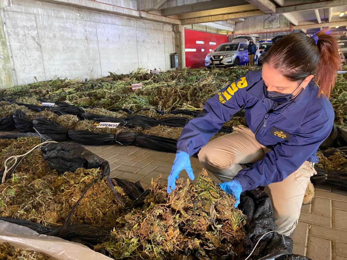 Ñuble: Incautación de principales drogas aumentó en un 282 por ciento en 2021