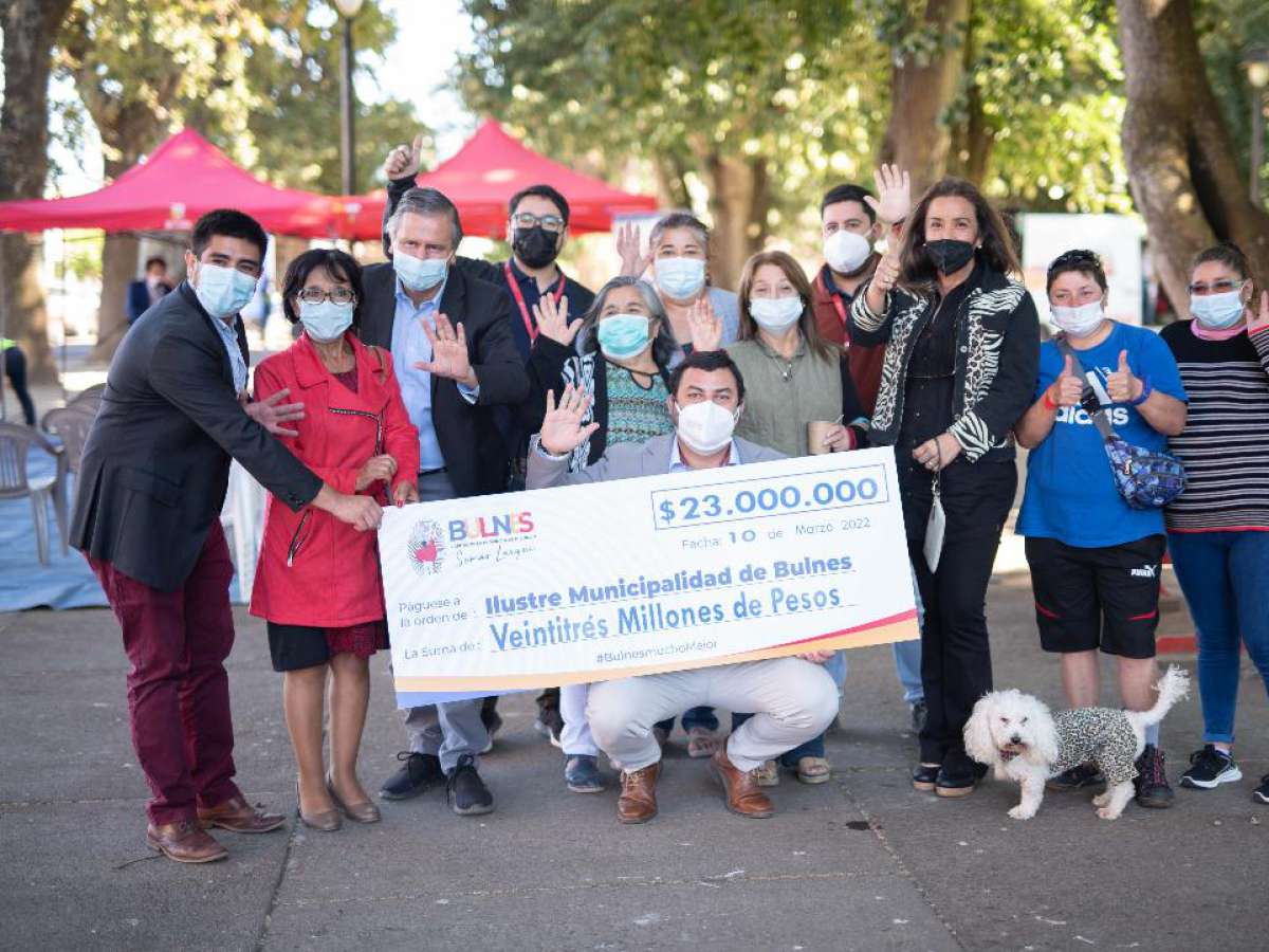 Aprueban recursos en Bulnes para implementar Plan Nacional de Esterilizaciones de mascotas