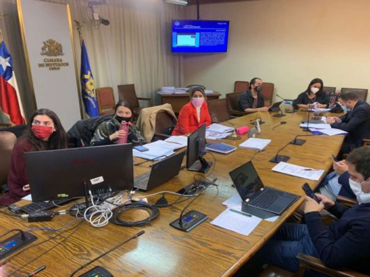 Aprueban plazo para la presentación de denuncias por acoso y discriminación en el deporte