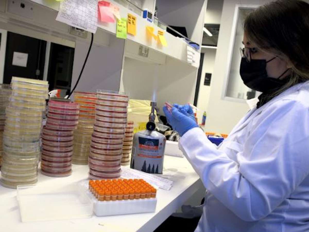 INVESTIGADORES UDD ESTUDIARÁN LA PREVALENCIA DE BACTERIAS RESISTENTES A LOS ANTIBIÓTICOS EN HOSPITAL DE MOLINA