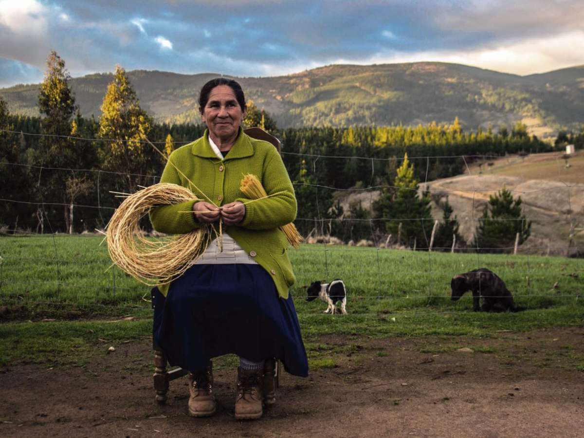 Capitán Pastene y Puqueldón postulan a reconocimiento mundial de turismo rural 