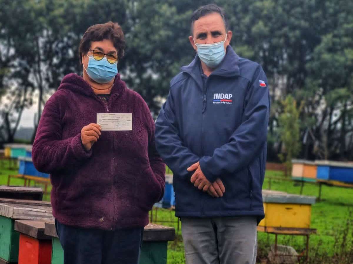 Seguros Indap: una gran herramienta para enfrentar el riesgo de la agricultura