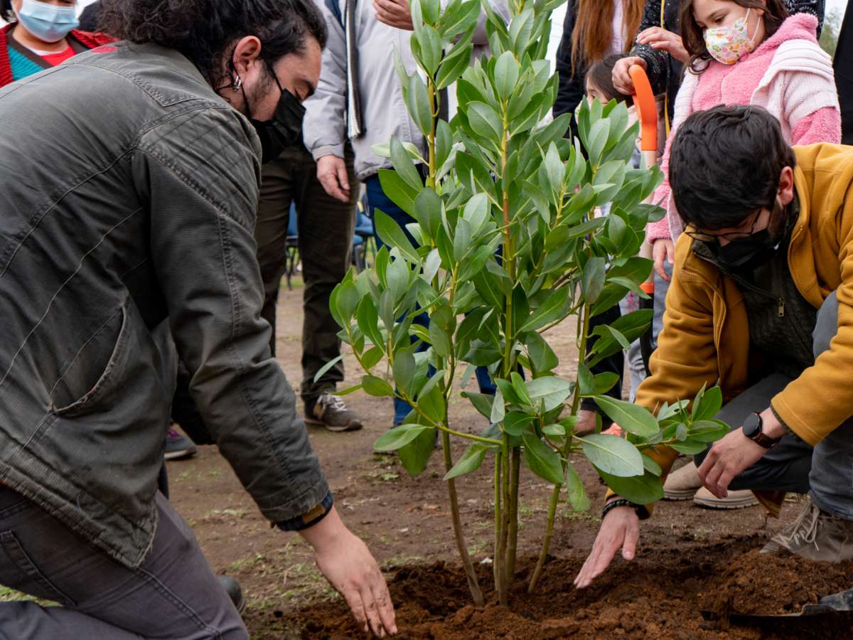 Inician recuperación de áreas verdes en estadio de Pueblo Seco en San Ignacio gracias a Fondos de Protección Ambiental 2022