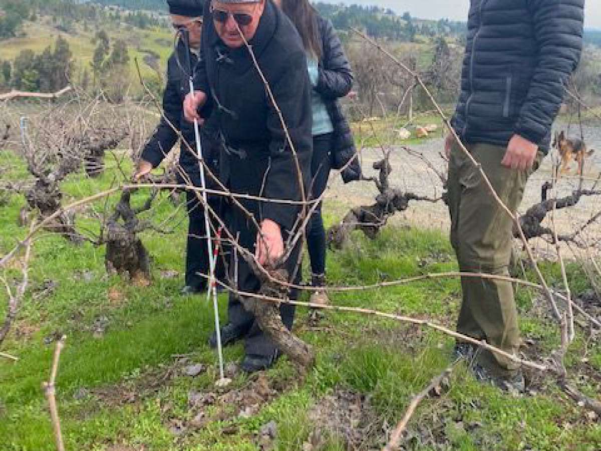 Fundación TrekAndino celebró el Día Internacional de la Amistad con una especial Cata de Vinos para Personas Ciegas