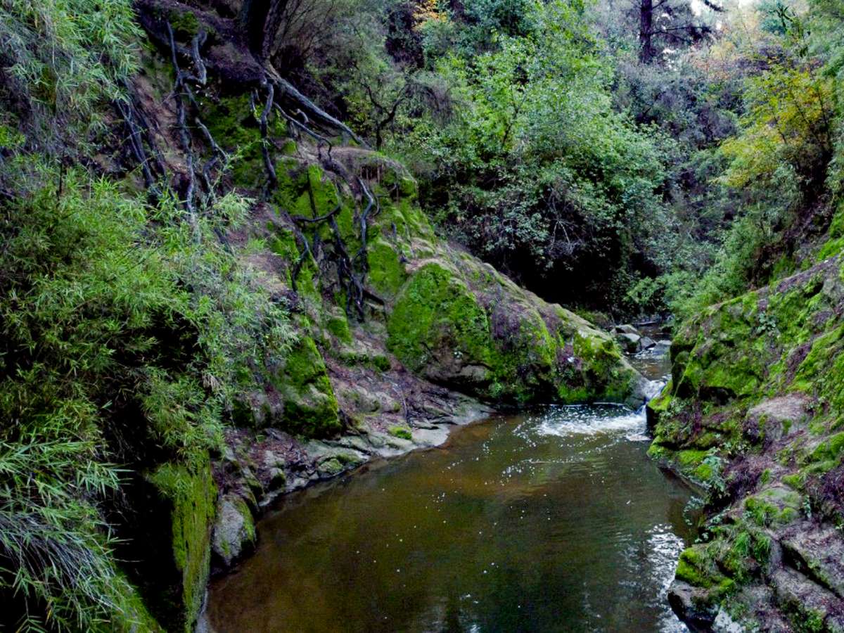 Humedal La Cascada de Coelemu se convierte en un nuevo Humedal Urbano de Ñuble