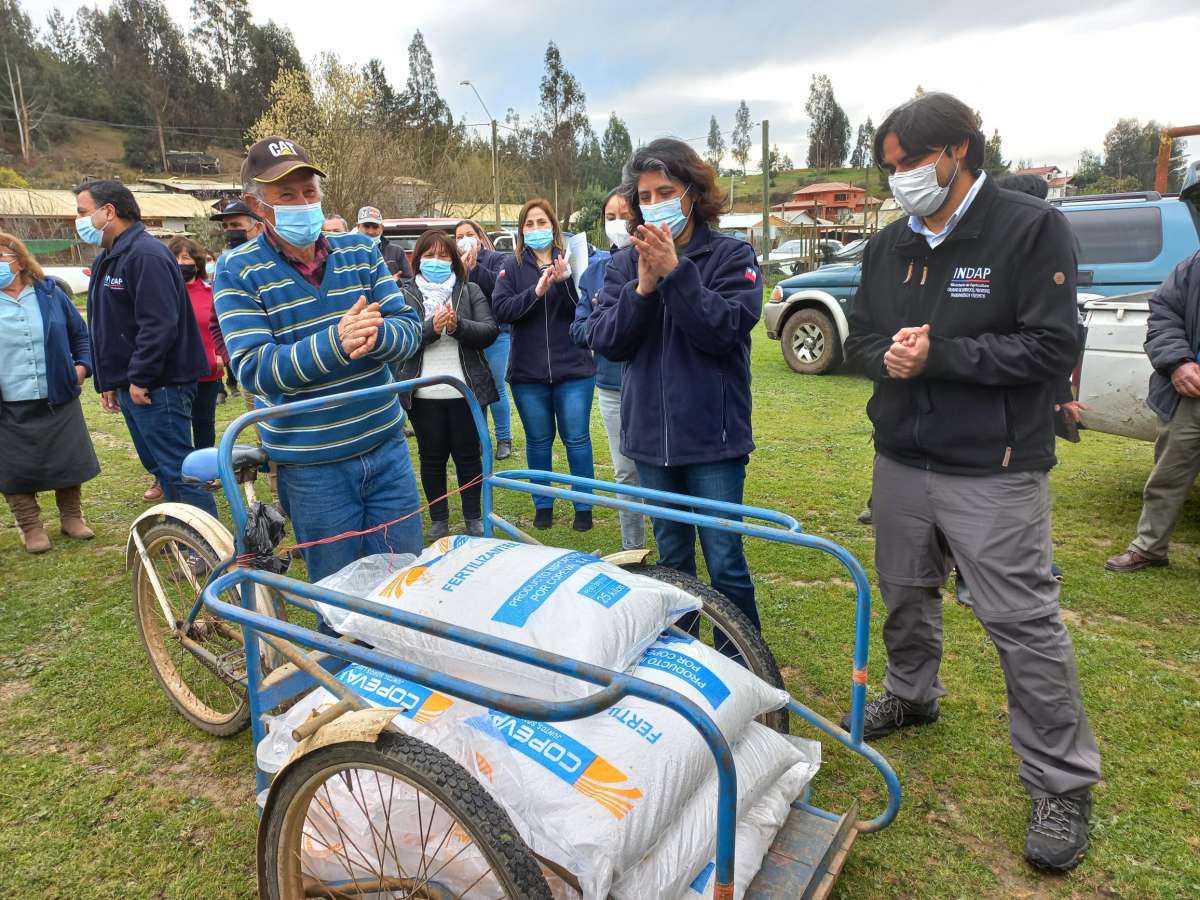 EN CUREPTO INDAP INICIÓ LA ENTREGA DE FERTILIZANTES  DEL PLAN SIEMBRA POR CHILE