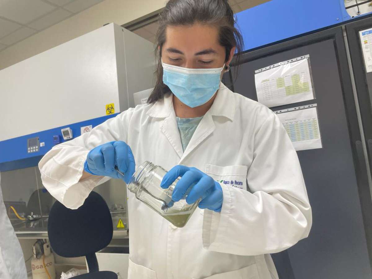 En Ñuble expertos analizarán presente y futuro de bioinsumos agrícolas ante incremento de demanda