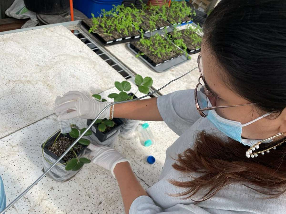 Bioinsumos se abren paso hacia una agricultura más sustentable 