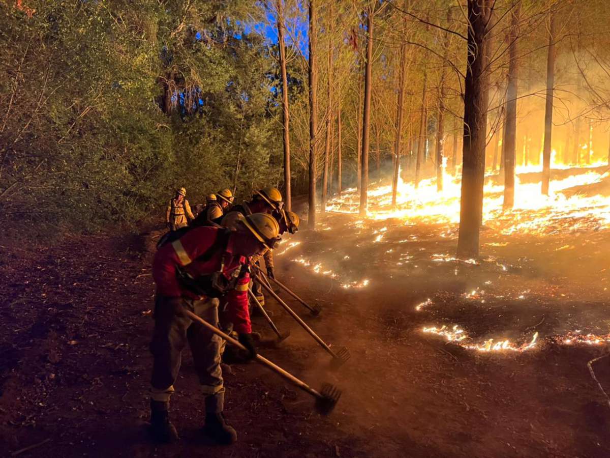 Sector público y privado coordinan labores frente a la temporada de incendios