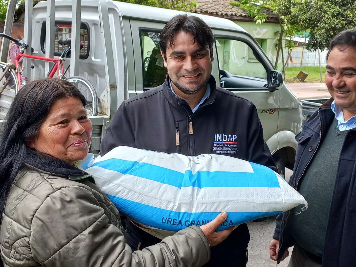 USUARIOS DE INDAP  DE VILLA ALEGRE RECIBIERON FERTILIZANTRES DE SIEMBRA POR CHILE