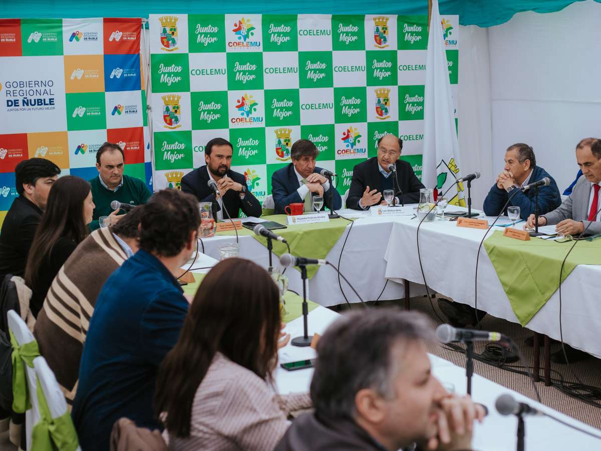 Consejo Regional aprueba recursos para pavimentar camino entre el Puente Itata y el sector Dinamapu en Coelemu