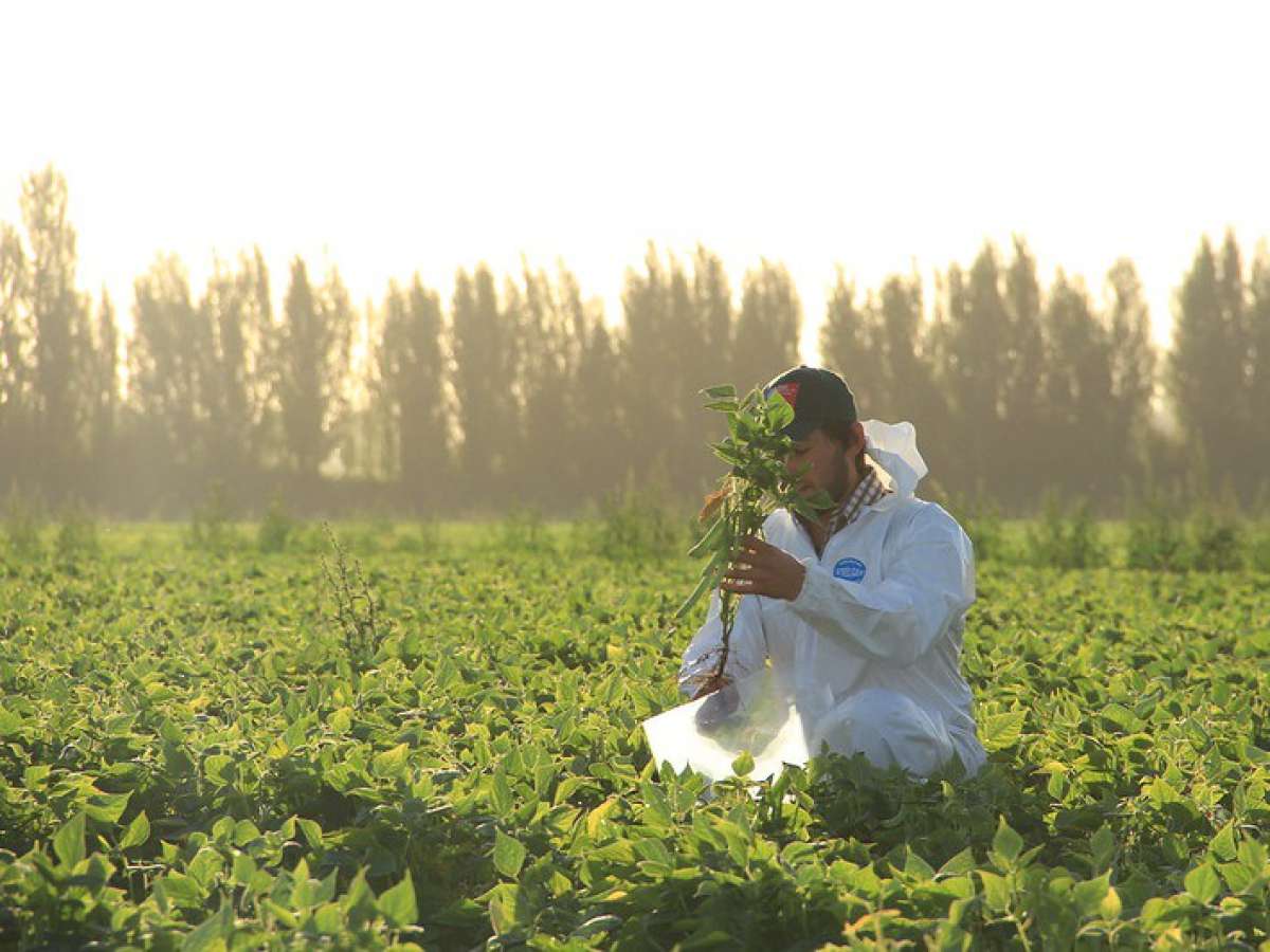 Comenzaron capacitaciones de los servicios del agro para liceos técnico-profesionales