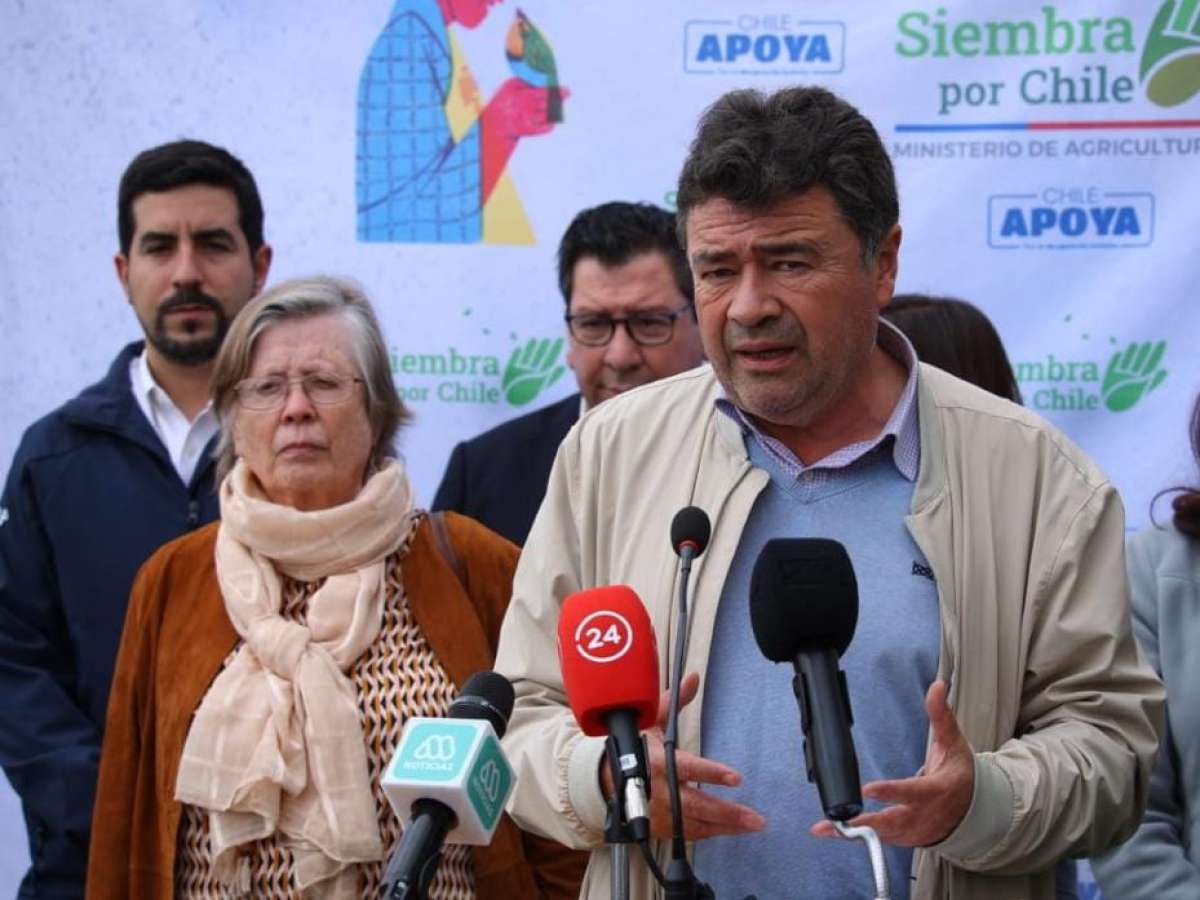 Ministerio de Agricultura anuncia $2.000 millones para ir en ayuda de los productores de frutillas afectados por plaga de nemátodo 