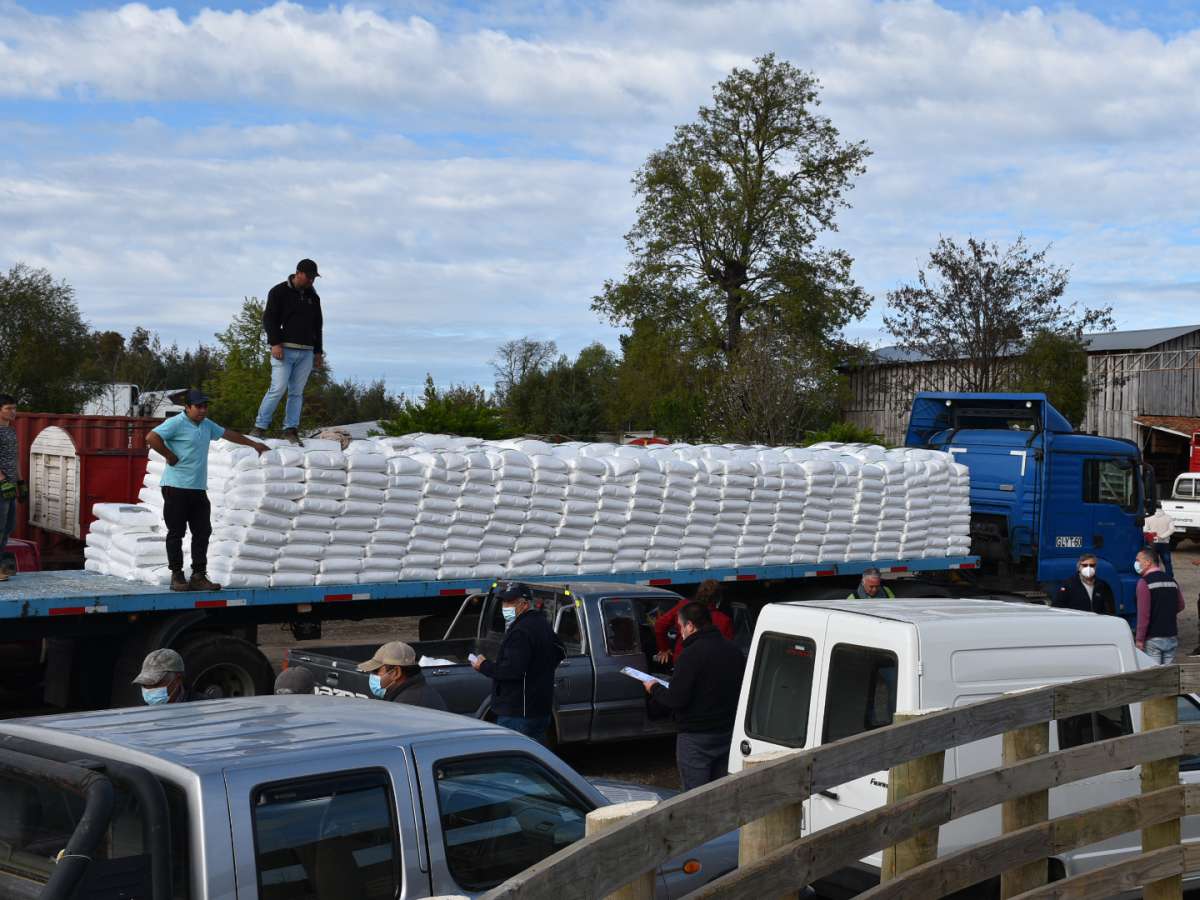 INDAP ÑUBLE cierra el año con ejecución superior al 96 %