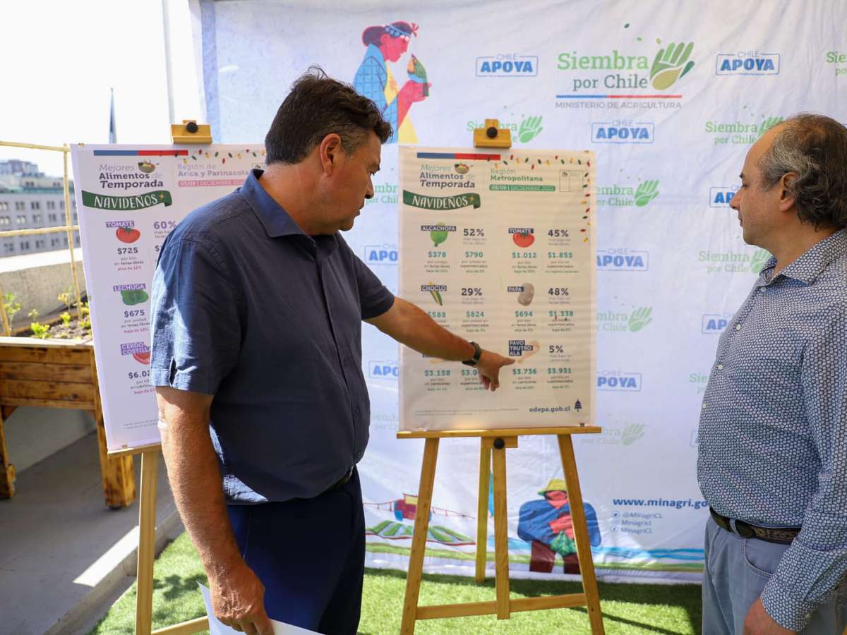 Ministerio de Agricultura recomienda carnes blancas, verduras y frutos rojos para cenas de fin de año 