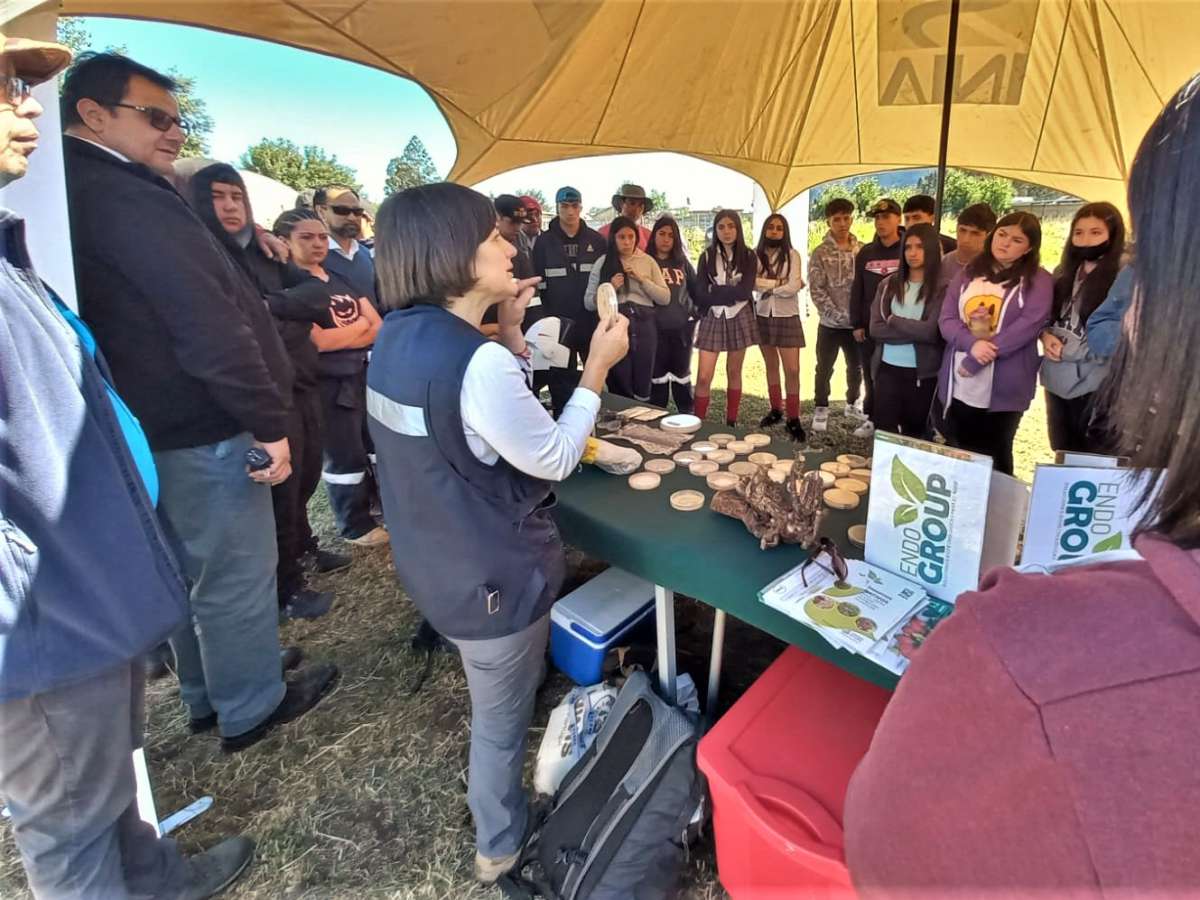 INIA desarrolló probióticos endófitos para fomentar producción agrícola sostenible