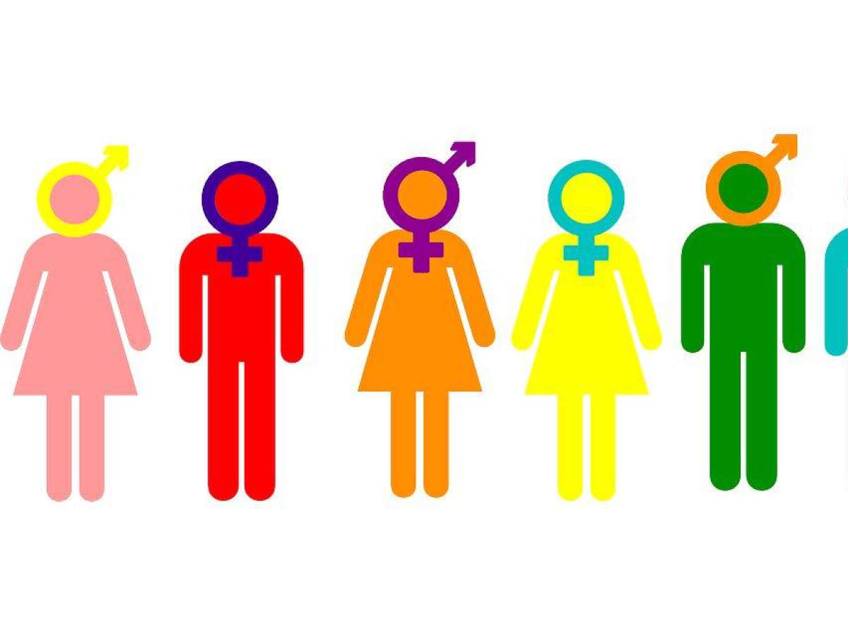 A tres años de la entrada en vigencia de la Ley 21.120 Identidad de Género, son 104 personas las que han realizado cambio de sexo registral en Ñuble 