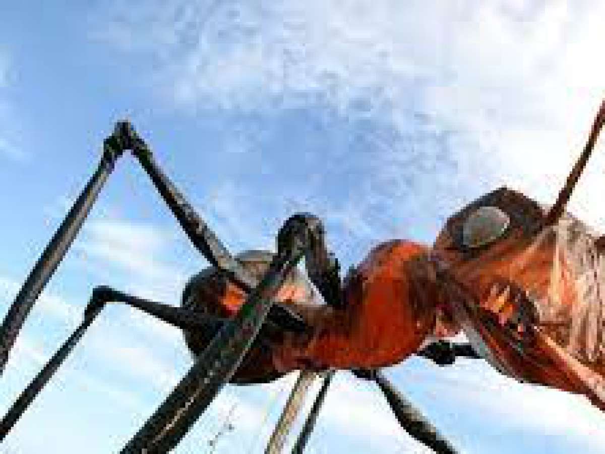 INSECTOS GIGANTES INVADIRÁN LA ALAMEDA DE TALCA