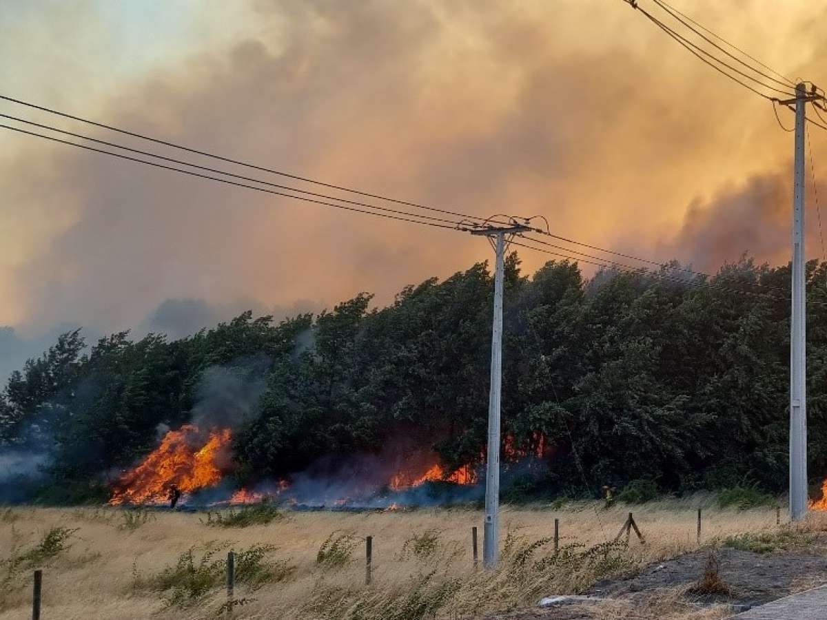 FENACOPEL destaca incansable labor de COPELEC y COELCHA en medio de la emergencia producida por los incendios forestales  