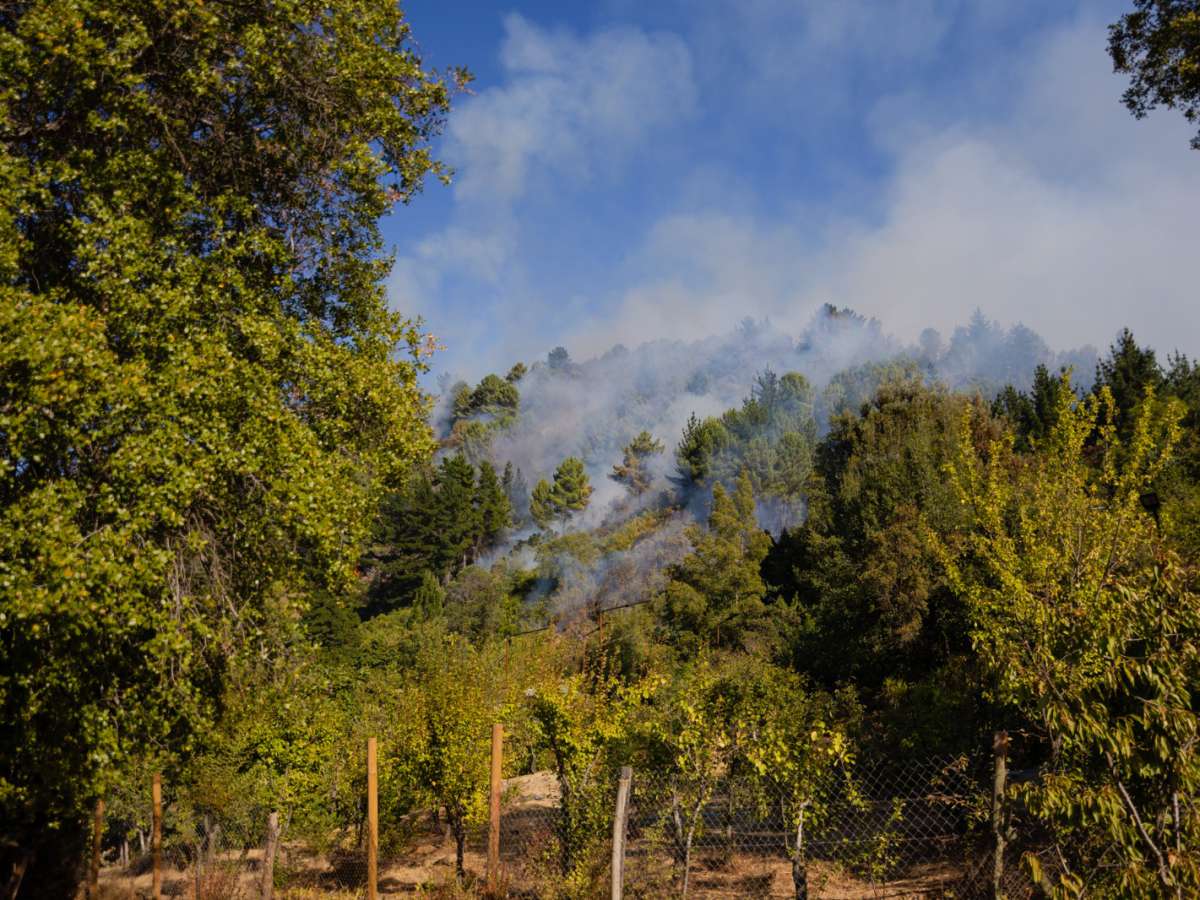 ACTUALIZACIÓN INCENDIO SANTA GERTRUDIS QUILLÓN