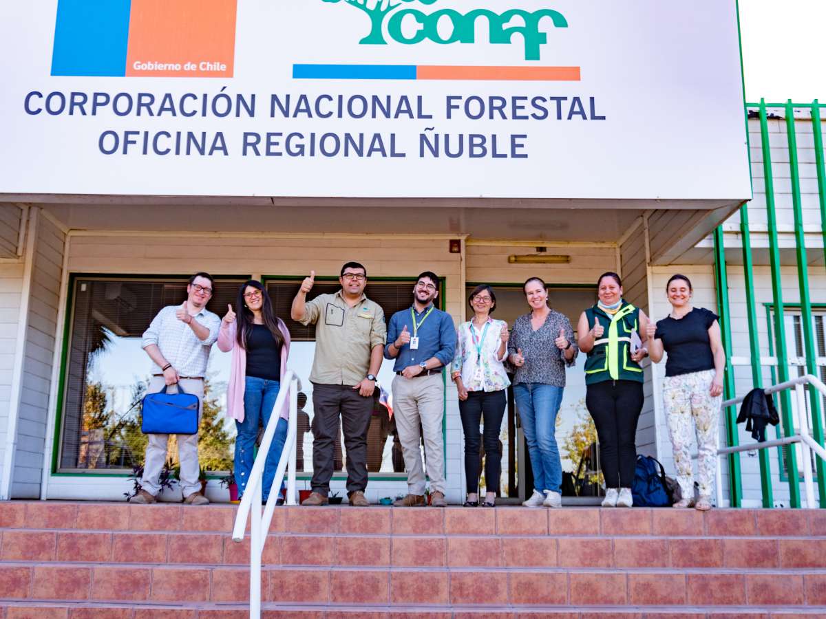A raíz de los incendios forestales se constituyó el primer Comité Regional de Restauración de Paisajes Región de Ñuble 