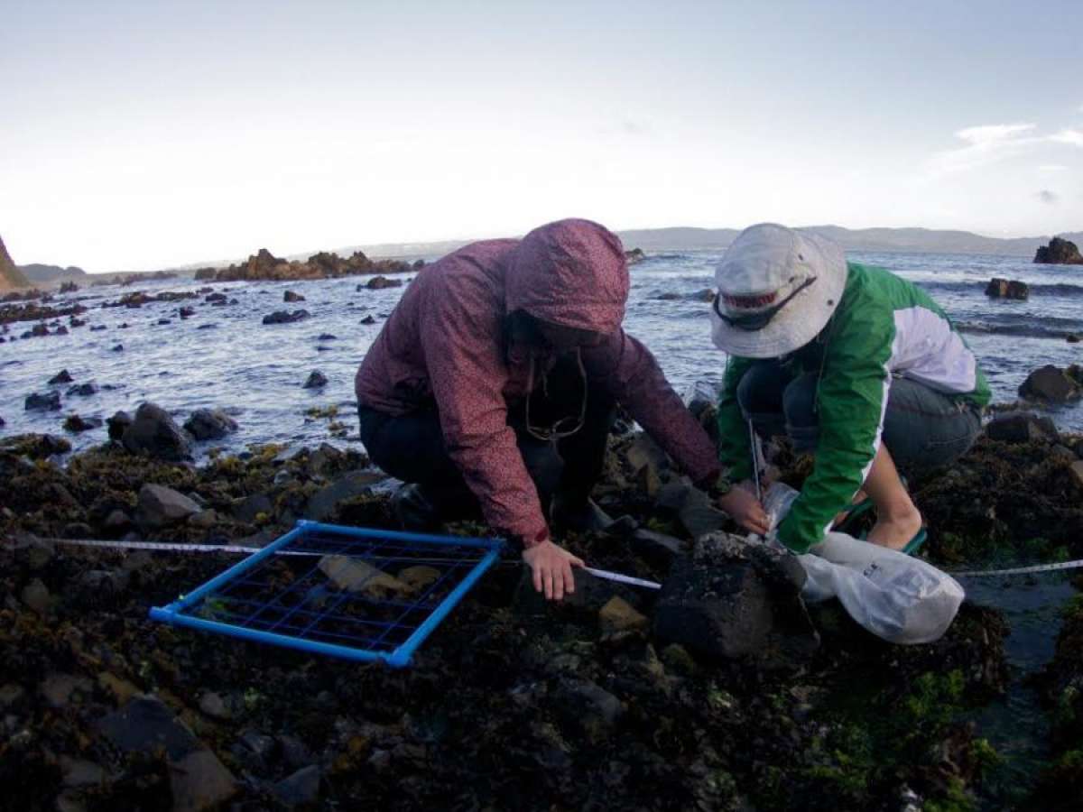 Universidad de Los Lagos será responsable principal de 14 nuevos proyectos de investigación