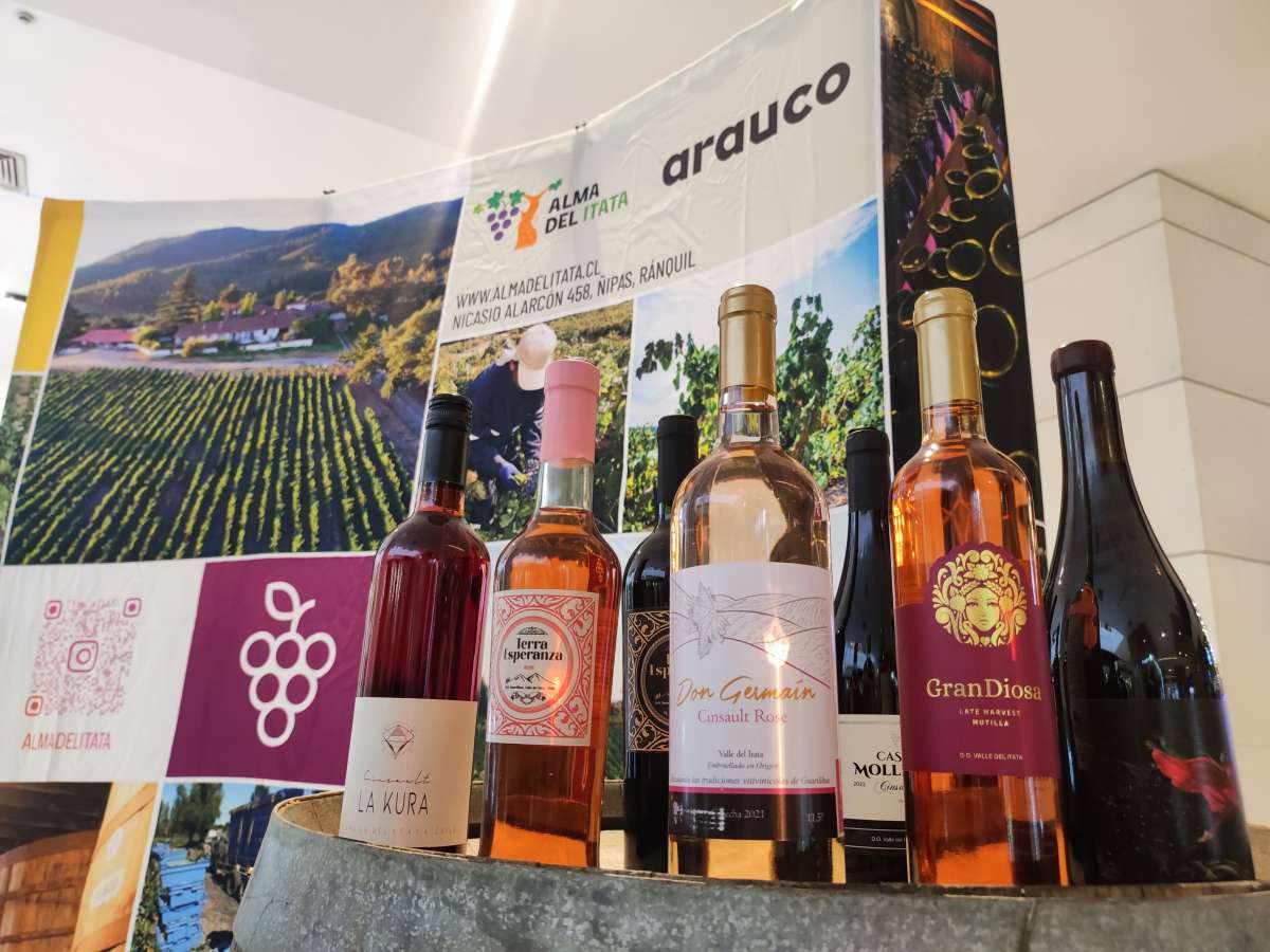 VIÑATEROS DEL ITATA TRAERÁN LA TRADICIONAL  NOCHE DEL CINSAULT A TALCAHUANO