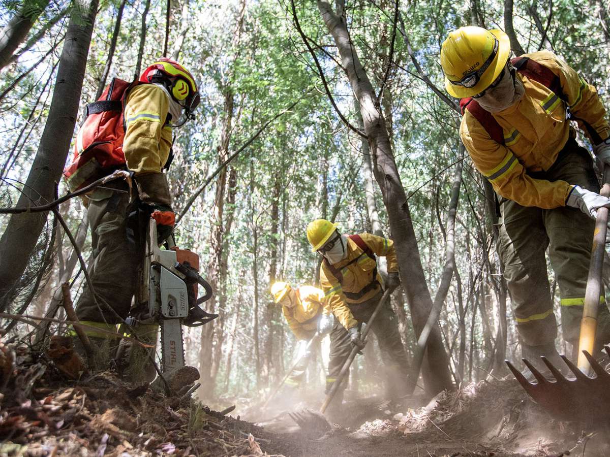 Corma llama a extremar precauciones frente a altas temperaturas y acuerda suspender faenas en zonas de alto riesgo