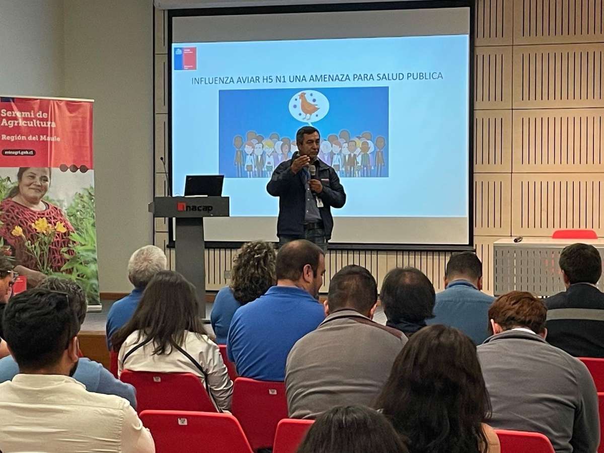 En Talca se realiza Taller sobre Influenza Aviar dirigido a productores/as avícolas