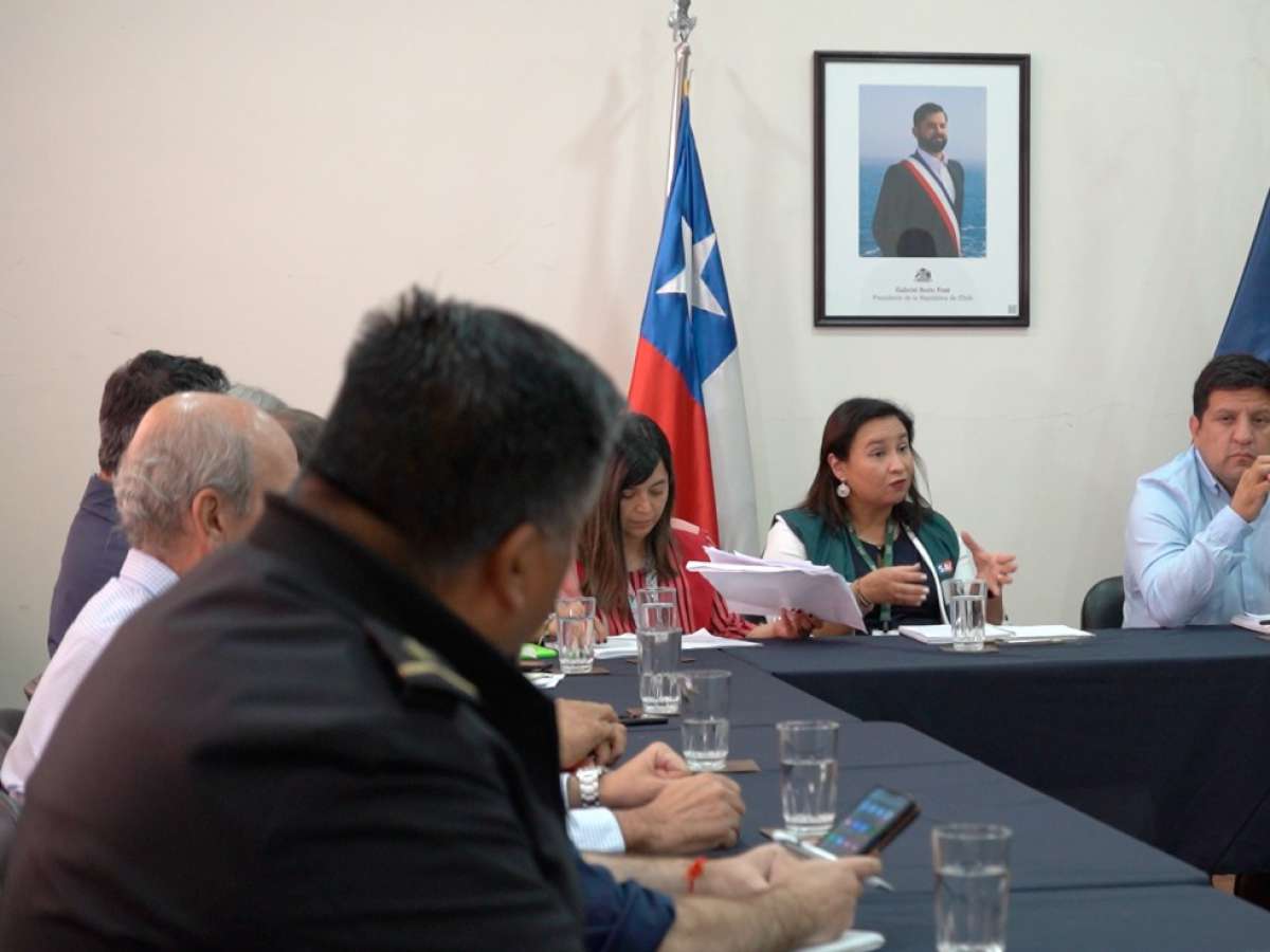 Conforman mesa técnica por caso de influenza aviar en el Maule