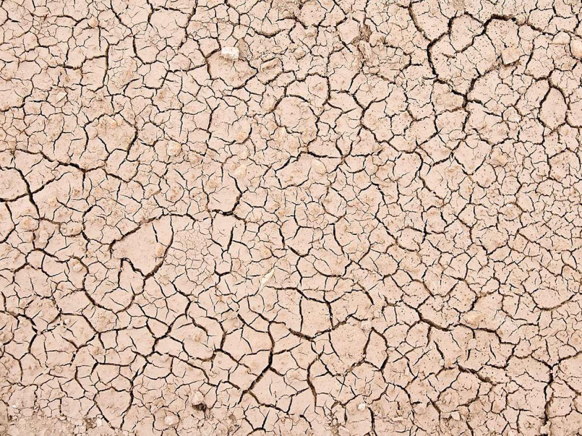 INIA presentará instrumento de predicción de sequía agrícola en seminario de la especialidad
