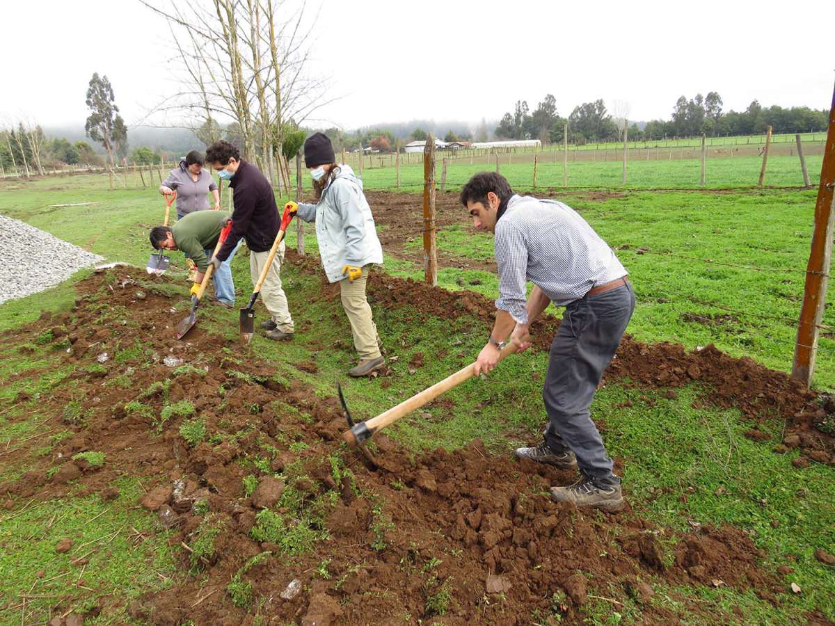 Proyecto de plantaciones y protección de cuencas ha logrado recuperar agua en zonas de sequía 