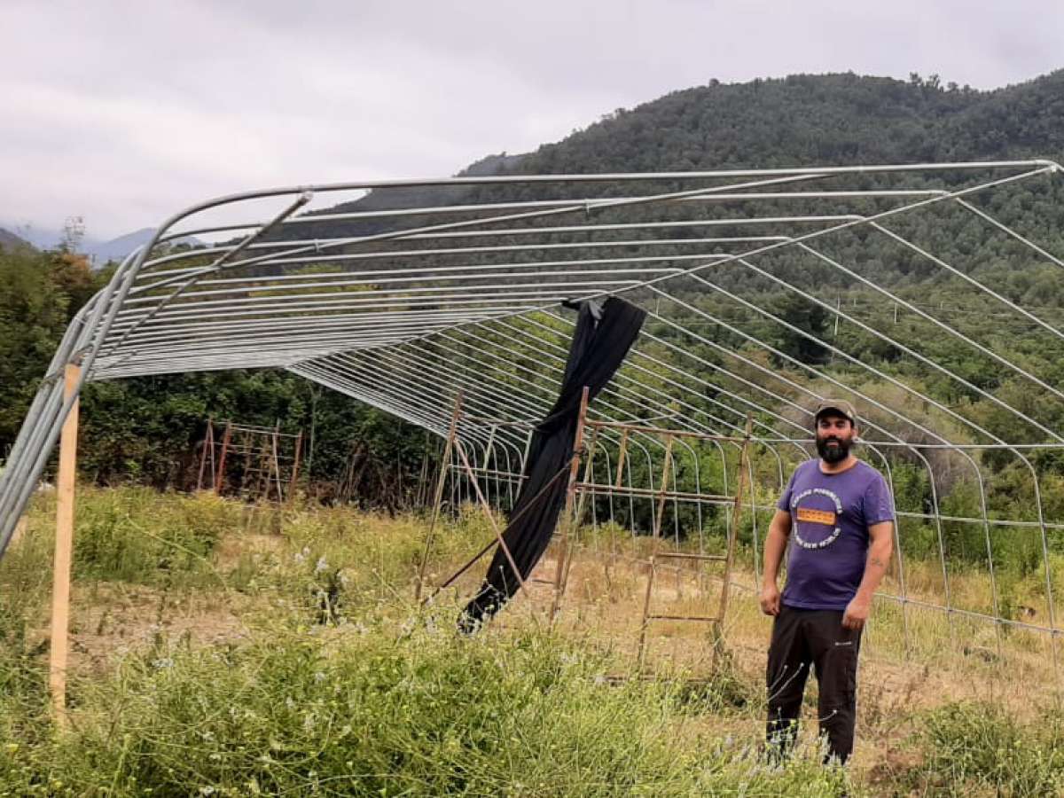RECOLECTANDO VIDA SPA ES LA APUESTA AGROECOLOGICA DE PRODUCTOR JUAN PIZZARO DE COLBÚN
