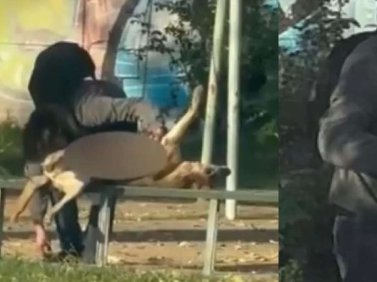 Joven desmembró un perro en Curicó: su madre pide comprensión por su hijo con Asperger