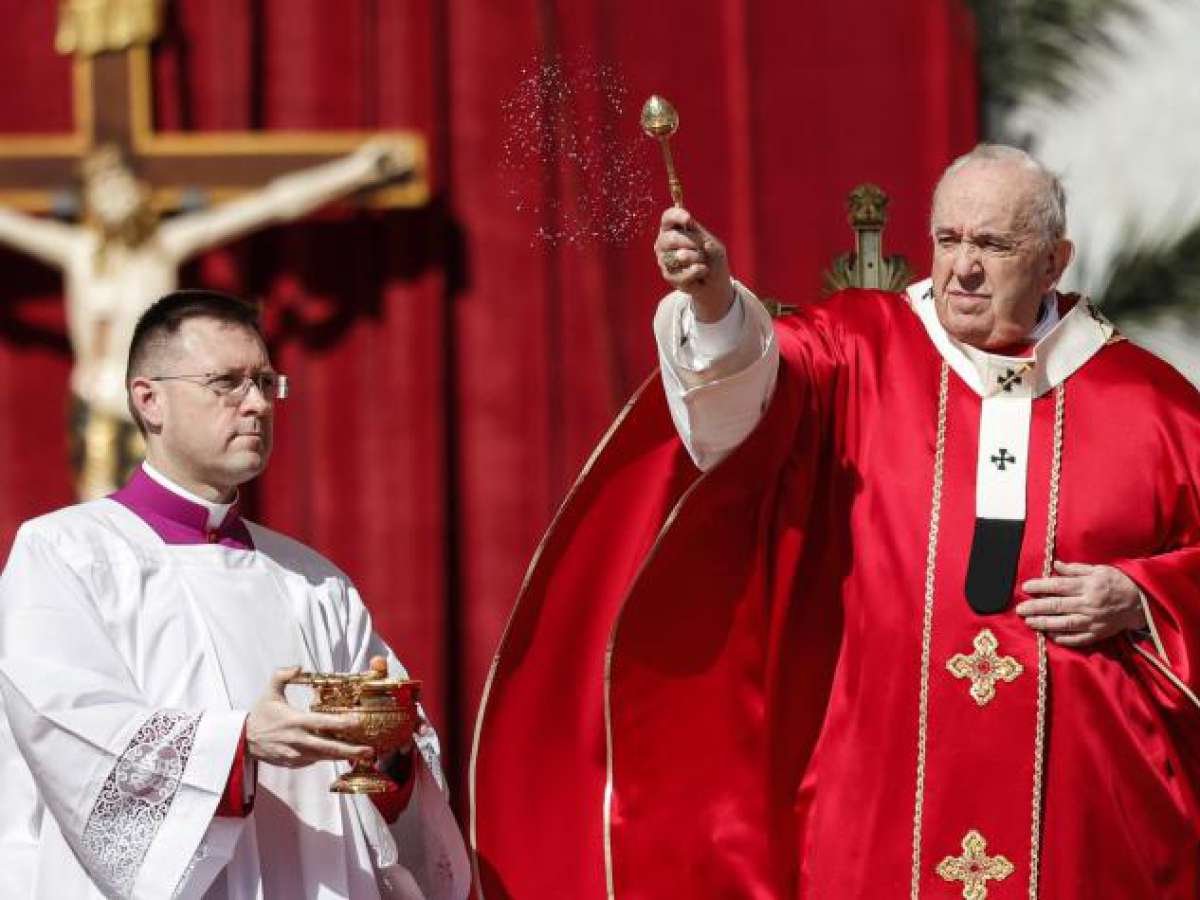 El Papa Francisco reitera su preocupación por aquellos que prefieren tener mascotas en lugar de hijos