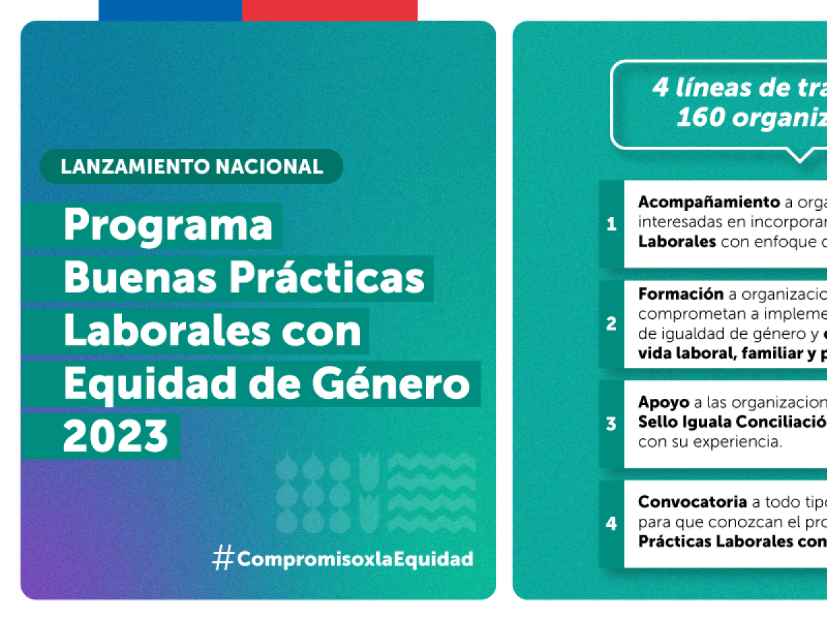 Buenas prácticas laborales: SernamEG presenta línea de trabajo 2023 para promover la equidad de género y derribar el “techo de cristal” en las organizaciones