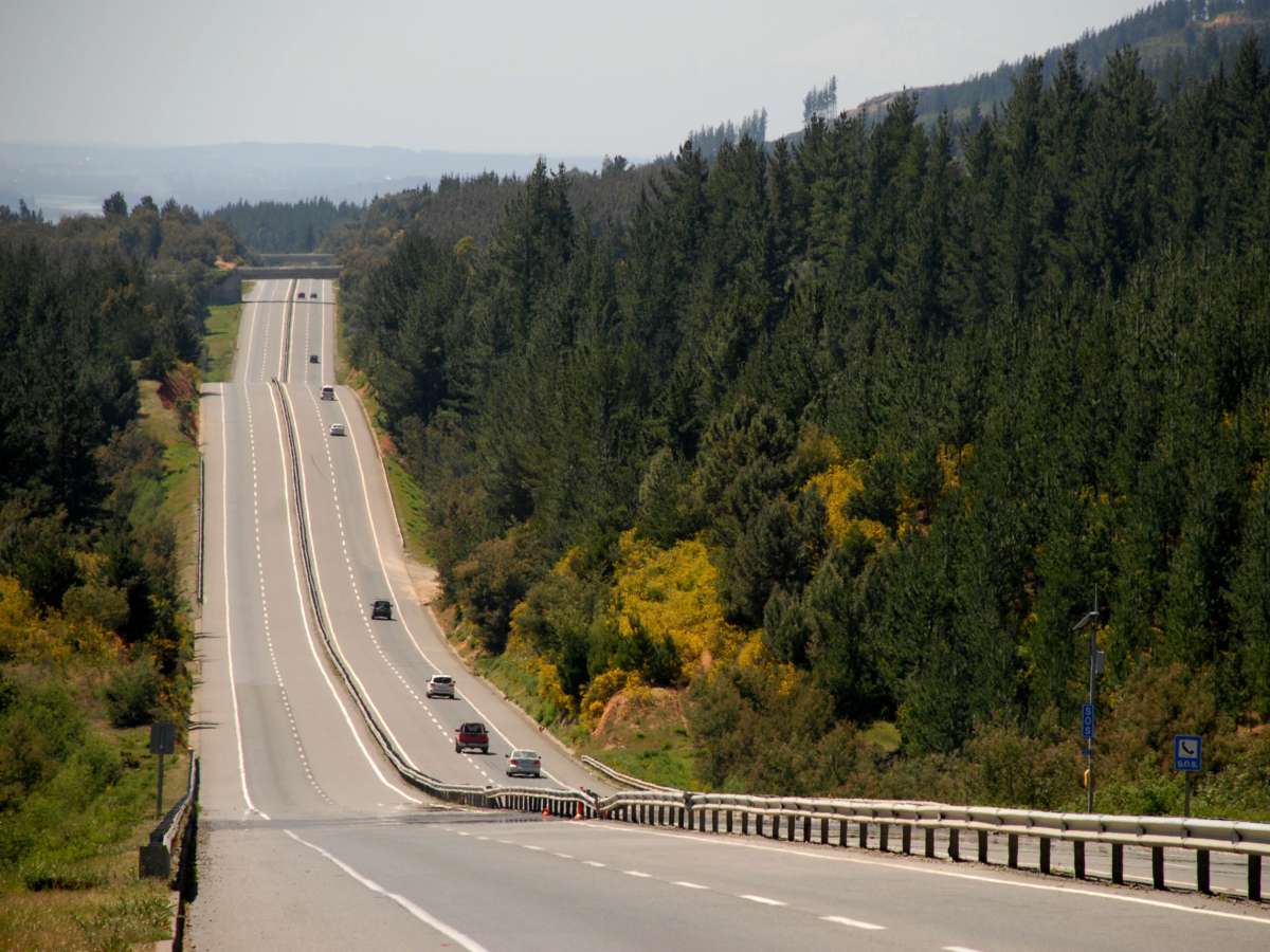 Nueva concesión de la ruta Chillán-Concepción busca mejorar la seguridad y calidad vial