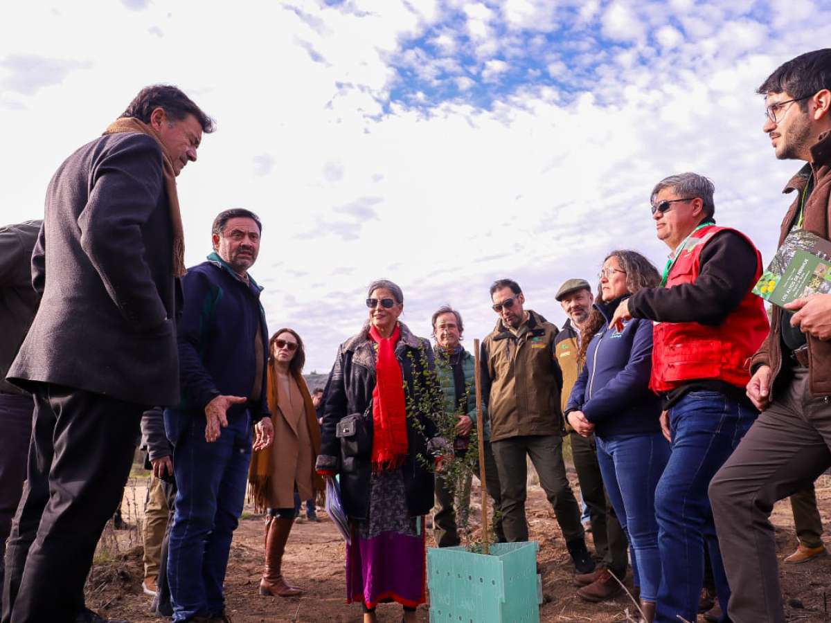 Proyecto GEF de Restauración de Biodiversidad incluirá comunas de Ñuble afectadas por incendios forestales